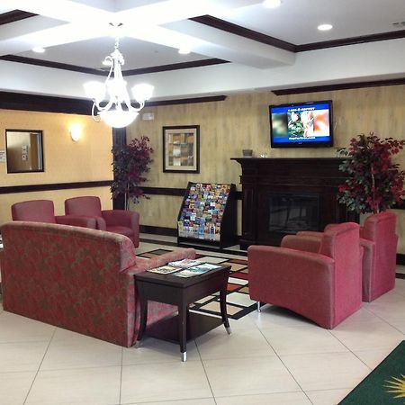 La Quinta Inn And Suites Joshua Eksteriør billede